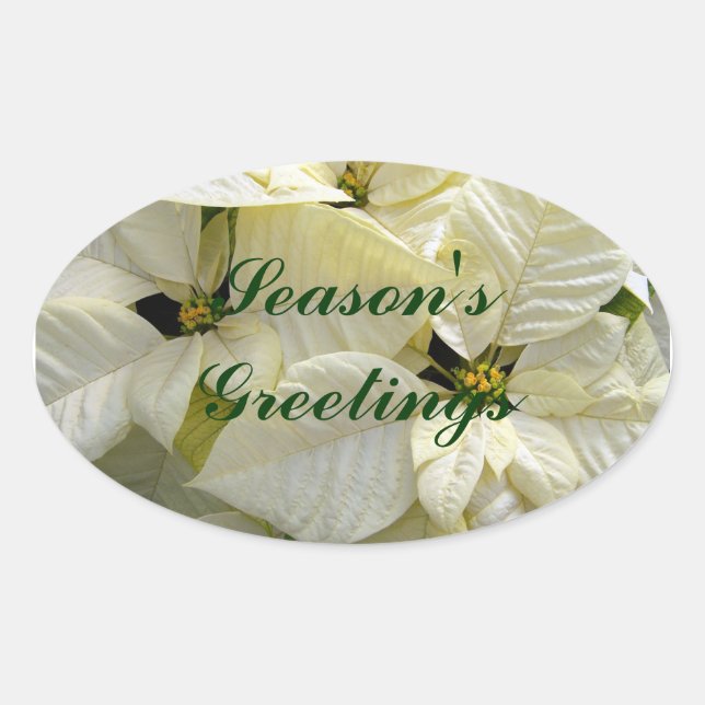 White Poinsettias Sticker (Front)