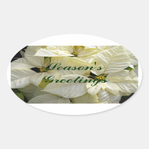 White Poinsettias Sticker