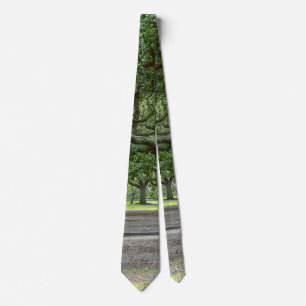 White Point Gardens Painterly Neck Tie