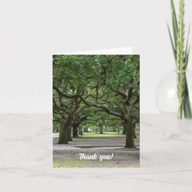 White Point Gardens Painterly Thank You Card (Front)