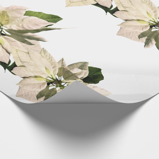 White Pointsettia Flowers Christmas Holiday Wrapping Paper (Corner)