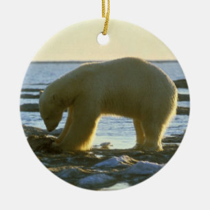 White Polar Bear Ceramic Ornament