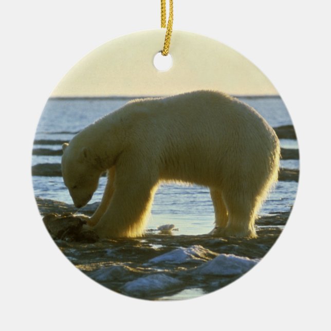 White Polar Bear Ceramic Ornament (Front)