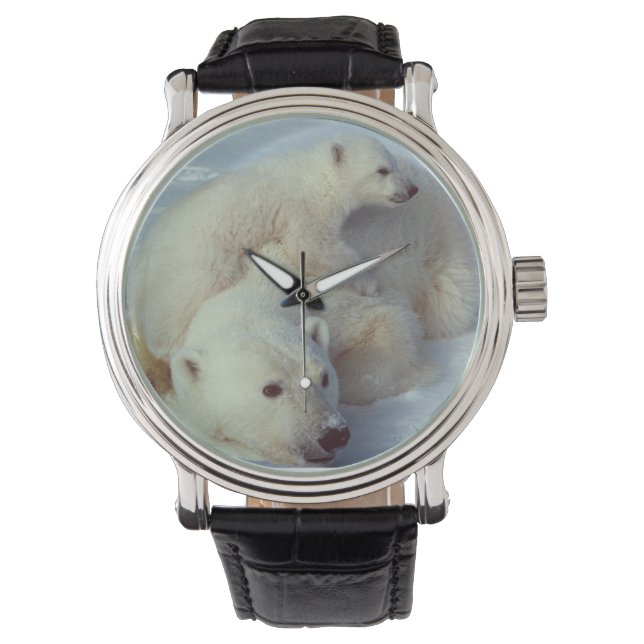 White Polar Bear Family Watch (Front)