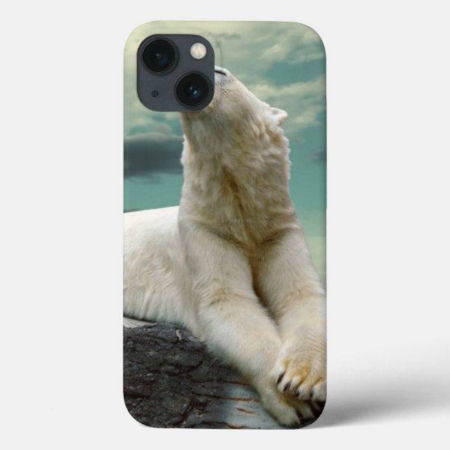 White Polar Bear Hunter on rock Case-Mate iPhone Case (Back)