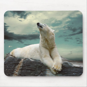 White Polar Bear Hunter on rock Mouse Pad