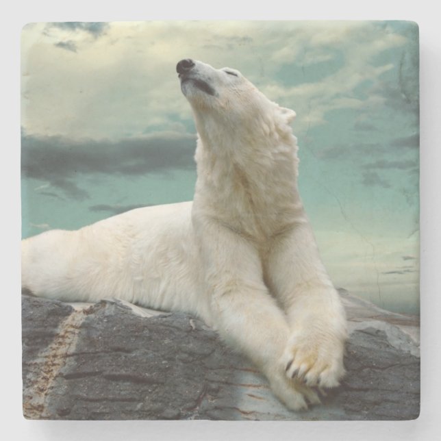 White Polar Bear Hunter on rock Stone Coaster (Front)