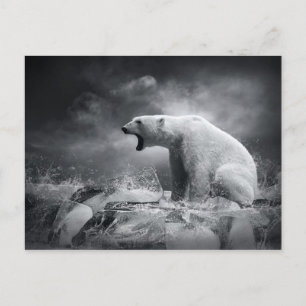 White Polar Bear Hunter on the Ice in water Postcard