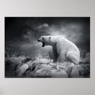 White Polar Bear Hunter on the Ice in water Poster