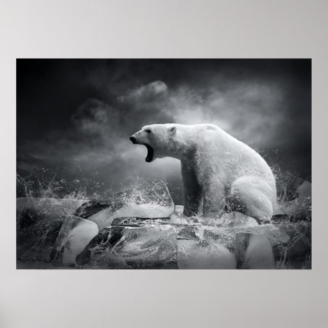 White Polar Bear Hunter on the Ice in water Poster (Front)