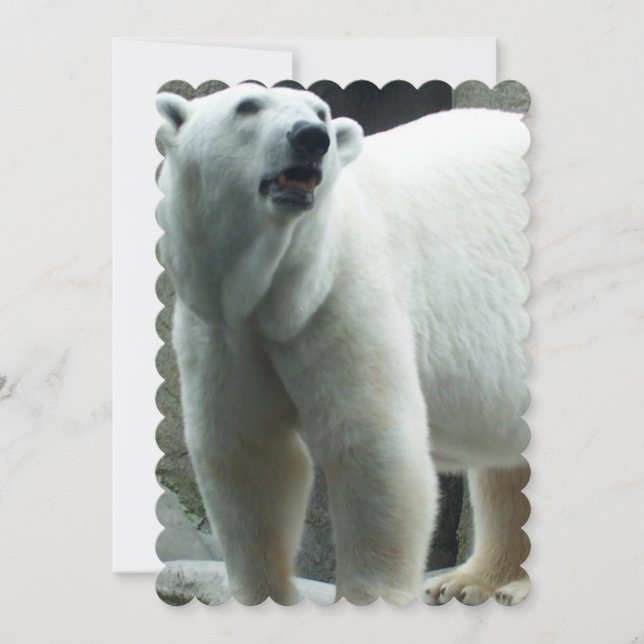 White Polar Bear Invitation (Front)