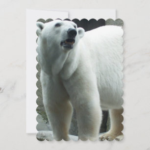 White Polar Bear Invitation
