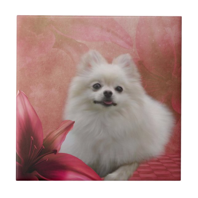 White Pomeranian Dog Flowers Animal Ceramic Tile (Front)