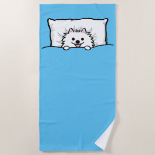 White Pomeranian Dog Tucked In Beach Towel