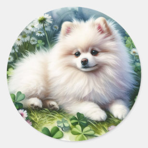 White Pomeranian Dog Watercolor Clover Field Classic Round Sticker