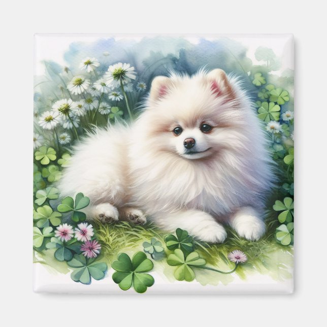 White Pomeranian Dog Watercolor Clover Field Magnet (Front)