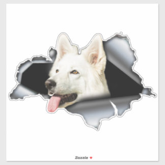 White Pomeranian sticker, car decal, Pomeranian 