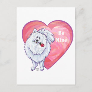 White Pomeranian Valentine's Day Holiday Postcard