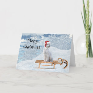 White Poodle Christmas Card