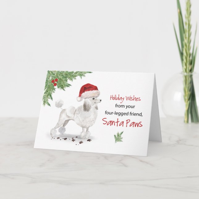White Poodle Christmas From Dog in Funny Santa Hat Card (Front)