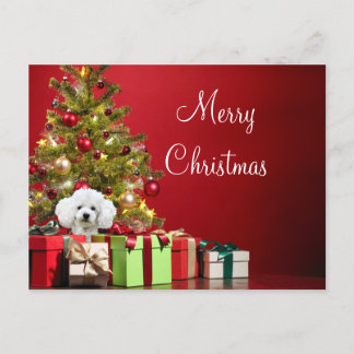 White Poodle Christmas Postcard