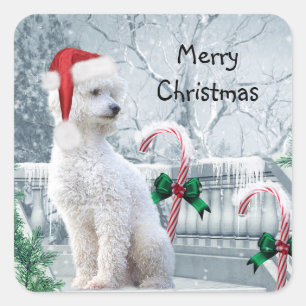 White Poodle Christmas Square Sticker