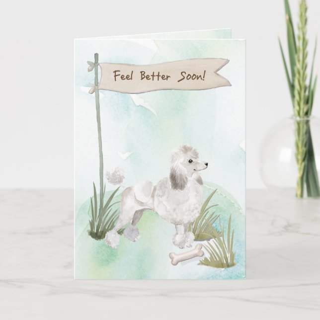 White Poodle Feel Better After Surgery to Dog Card (Front)