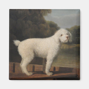 White Poodle in a Punt (by George Stubbs) Magnet
