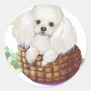 White Poodle in Basket Art Print Stickers Tags