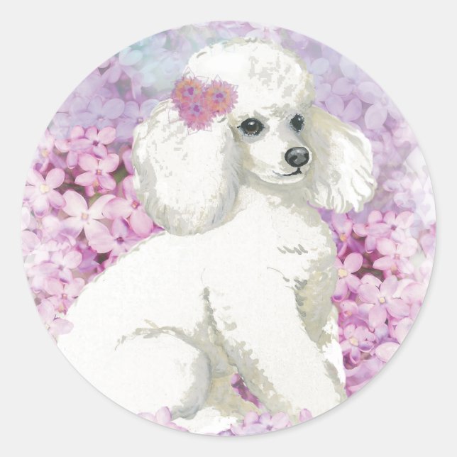 White Poodle in the Lilacs Art and Gifts Classic Round Sticker (Front)