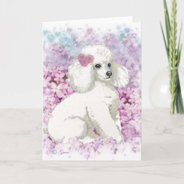 White Poodle in the Lilacs Art Print Card (Front)