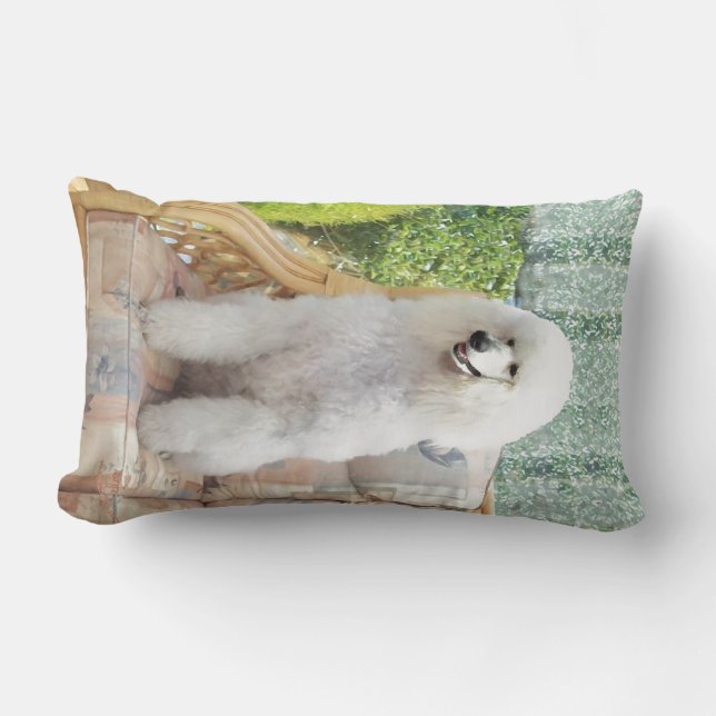 White Poodle Lumbar Cushion (Front)