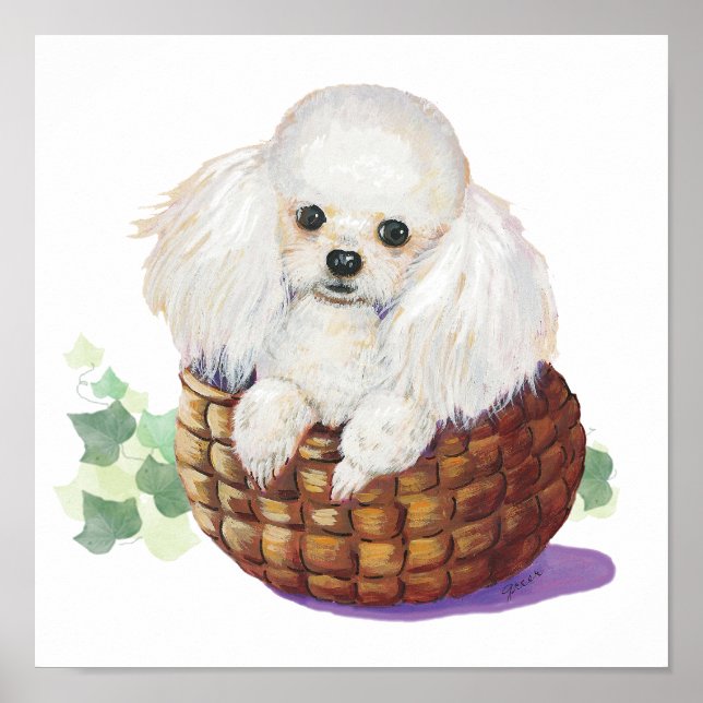 White Poodle Puppy in a Basket Art Print (Front)