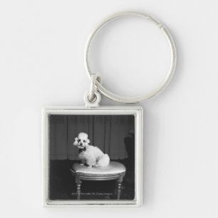 White poodle sitting on stool B&W Key Ring