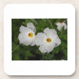 White Poppies Botanical Flower Coaster
