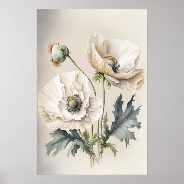 White Poppy Flowers Art Print Poster (Front)