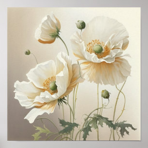White Poppy Flowers Art Print Poster
