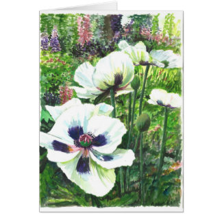 White poppy flowers in the field
