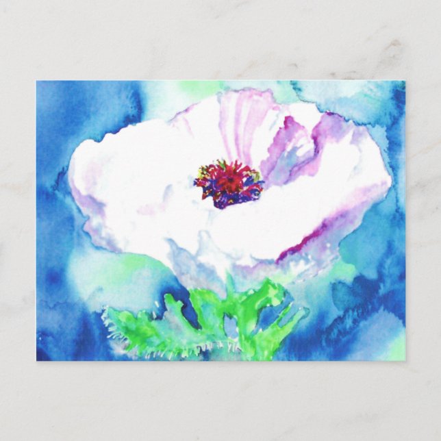 White Poppy. Postcard (Front)