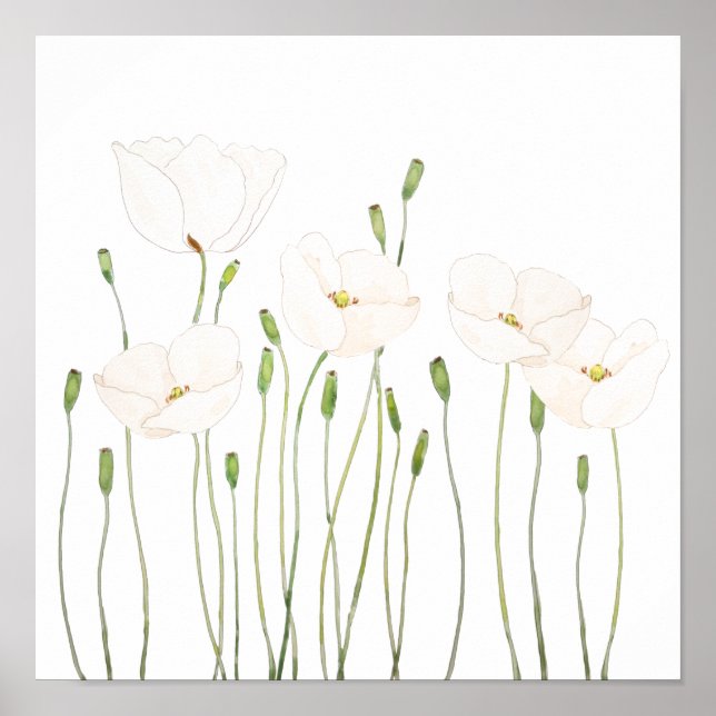 white poppy watercolor horizontal  poster (Front)