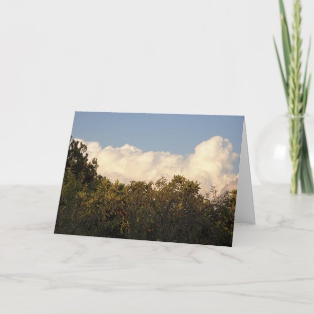 White Puffy Clouds over Treetops Background Card (Front)