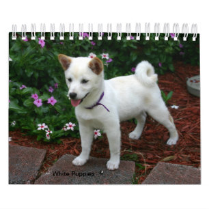 White Puppies Calendar