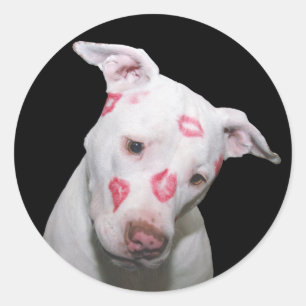 White Puppy Dog Love, Sealed with Lipstick Kisses Classic Round Sticker