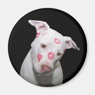 White Puppy Dog Love, Sealed with Lipstick Kisses Magnet