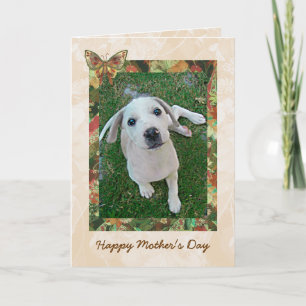 White Puppy Mothers Day Card   Photo Template