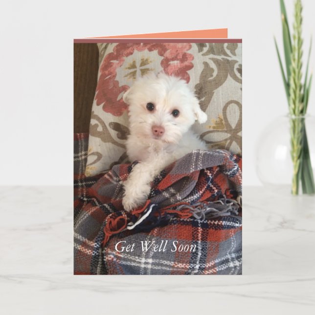 White Puppy Under a Blanket Get Well Soon Card (Front)