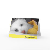 White Puppy, Yellow Blanket Thinking of You Card