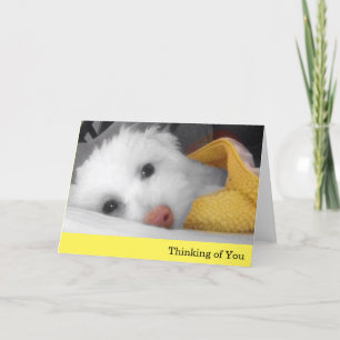 White Puppy, Yellow Blanket Thinking of You Card