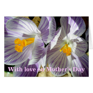 White Purple Crocuses Mother's Day Card