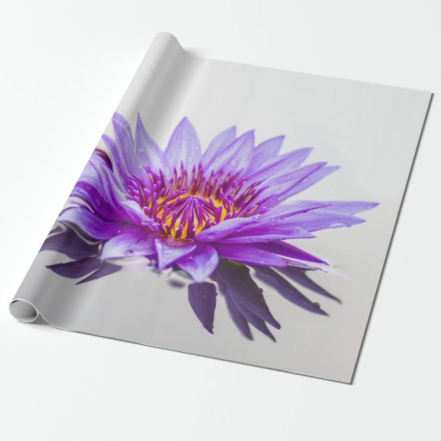 White Purple Lotus Flower Zen Wrapping Paper (Unrolled)